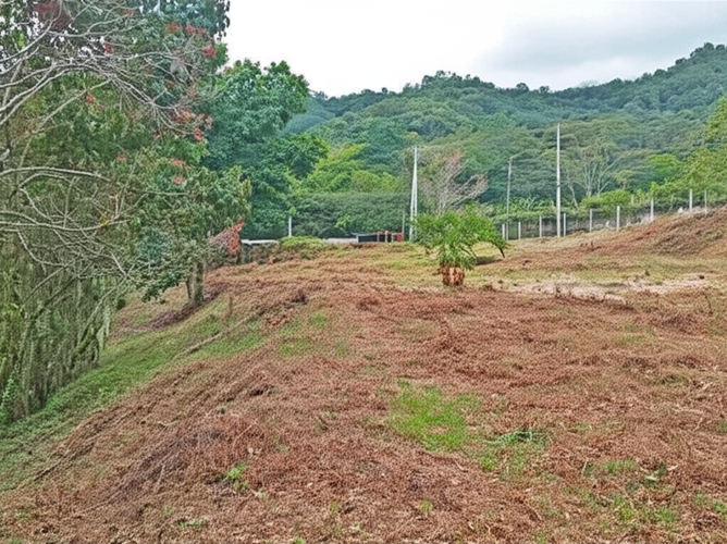 Casa en venta en Belen, Ibagué · foto 3 de 8