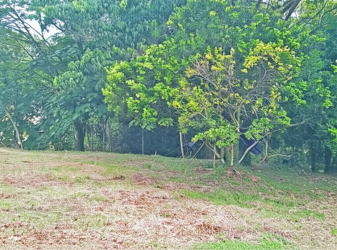 Casa en venta en Belen, Ibagué · foto 4 de 8