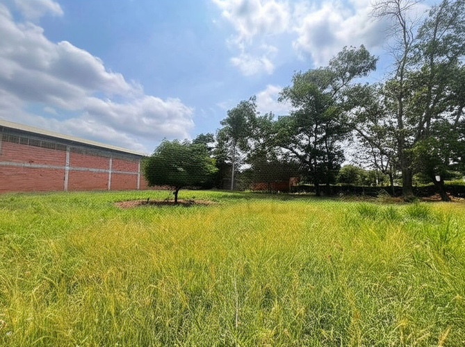 Lote en venta en Los Garzones, Montería, 1700 m² · foto 4 de 6
