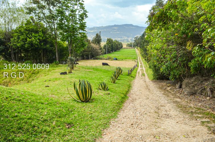 Casa de 6 alcobas en venta en Montana, Sopó · foto 15 de 24