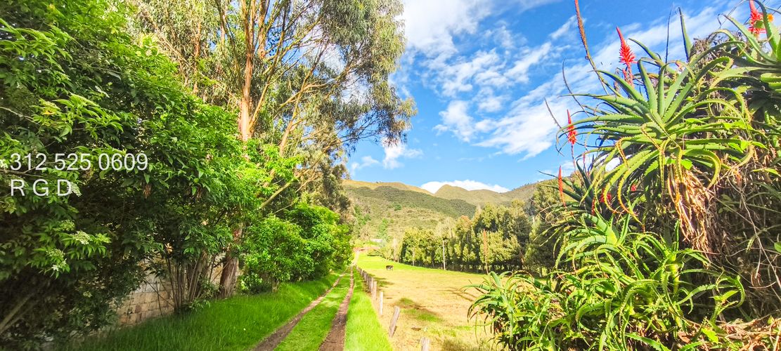 Casa de 6 alcobas en venta en Montana, Sopó · foto 16 de 24