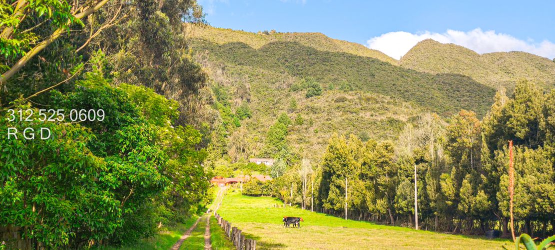 Casa de 6 alcobas en venta en Montana, Sopó · foto 23 de 24