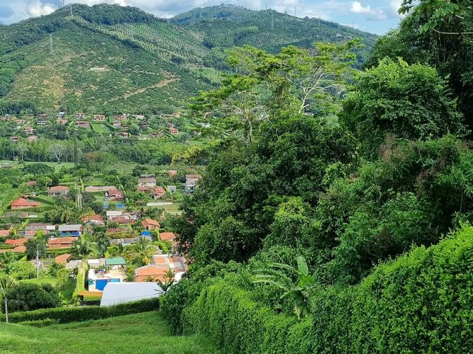 Lote en venta en Av Paralela, Manizales, 3400 m² · foto 2 de 11
