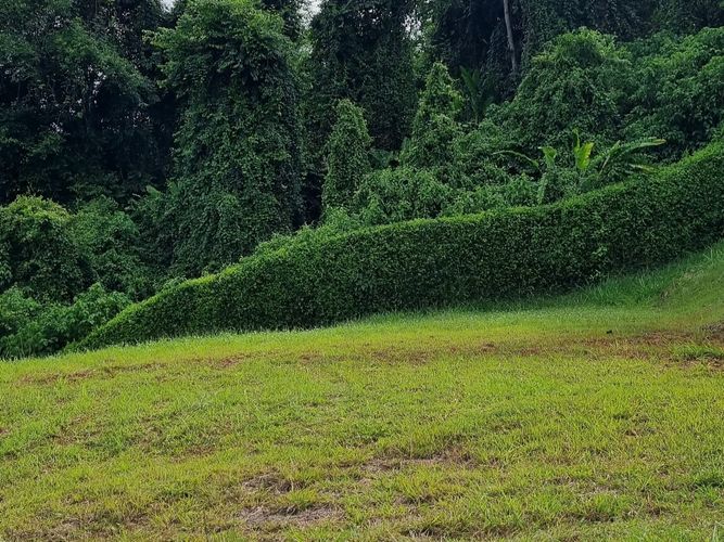 Lote en venta en Av Paralela, Manizales, 3400 m² · foto 8 de 11