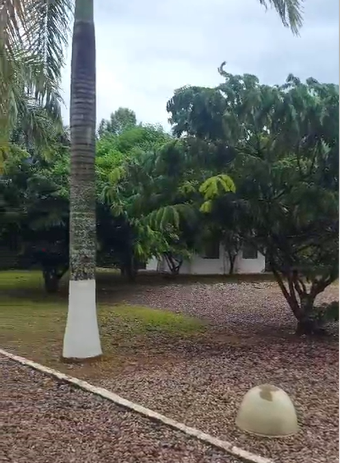 Finca en venta en Granjas Forestales Balmoral, Villavicencio, 250 m² · foto 3 de 20