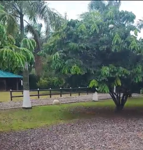 Finca en venta en Granjas Forestales Balmoral, Villavicencio, 250 m² · foto 9 de 20