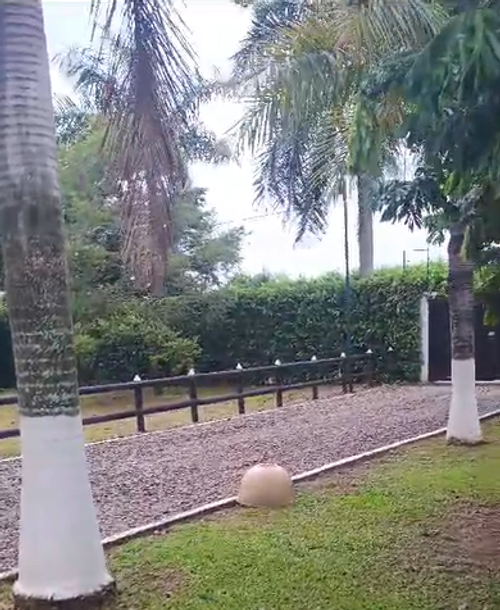 Finca en venta en Granjas Forestales Balmoral, Villavicencio, 250 m² · foto 10 de 20