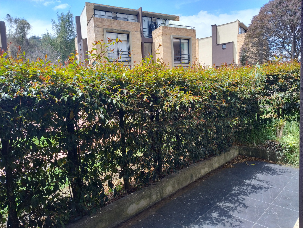 Casa en venta en Los Sauces, La Calera · foto 17 de 24