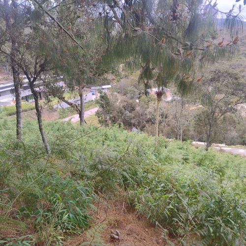 Lote en venta en San Rafael, La Calera, 1971 m² · foto 4 de 15