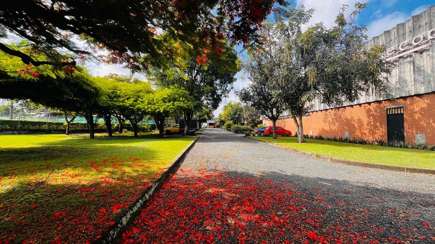 Bodega en venta en Arroyohondo, Yumbo, 3970 m² · foto 3 de 24