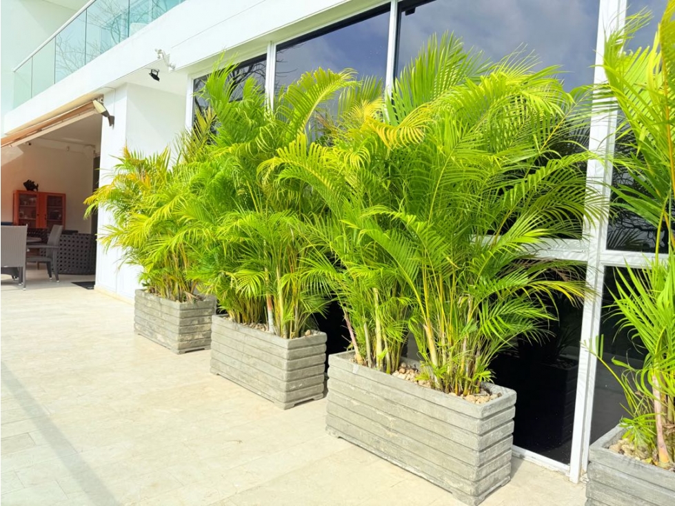 Apartamento en venta en Punta Canoa, Cartagena · foto 20 de 24
