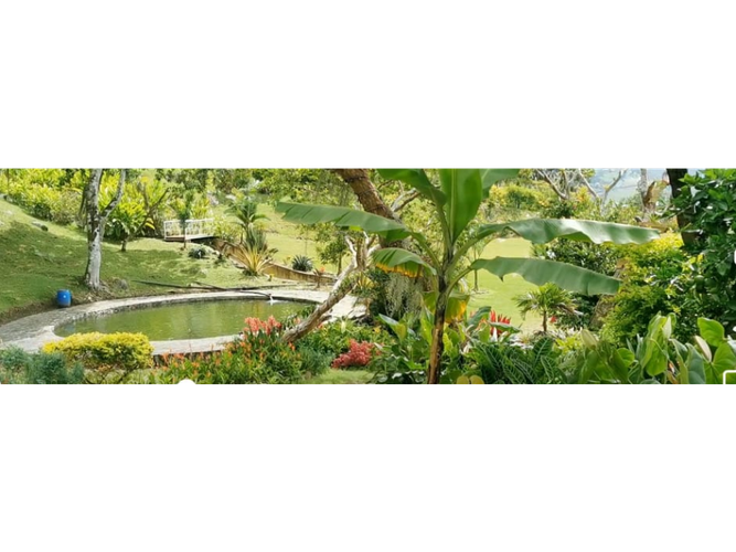 Finca en venta en Actividad Multiple, Copacabana, 32000 m² · foto 14 de 24