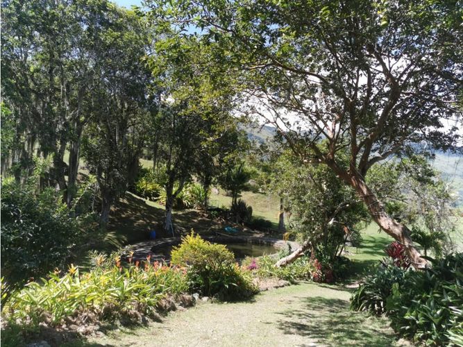 Finca en venta en Actividad Multiple, Copacabana, 32000 m² · foto 17 de 24