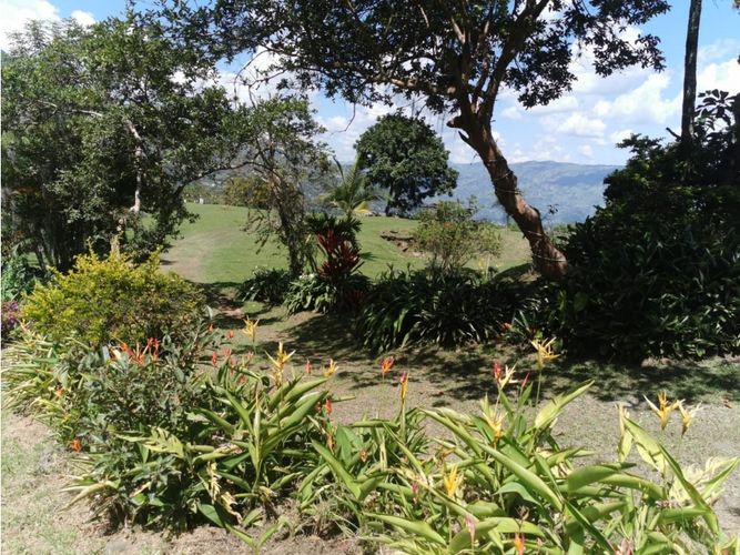 Finca en venta en Actividad Multiple, Copacabana, 32000 m² · foto 18 de 24