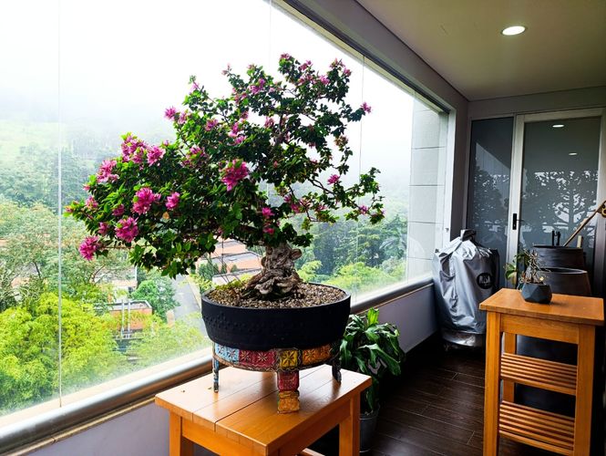 Apartamento de 3 alcobas en venta en El Poblado, Medellín, 294 m² · foto 13 de 20