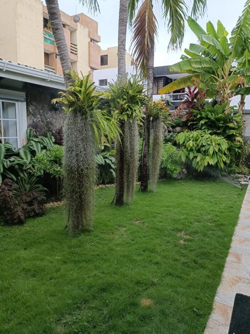 Casa de 4 alcobas en venta en Villa Santos, Barranquilla, 583 m² · foto 10 de 24