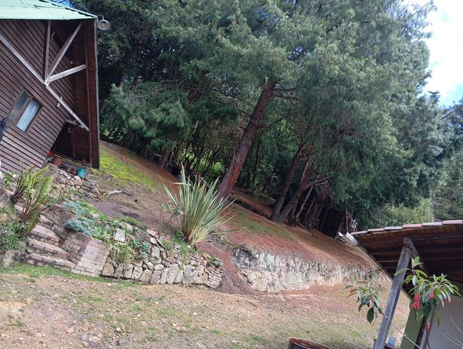 Finca en venta en Vereda El Salitre, La Calera, 8750 m² · foto 10 de 16