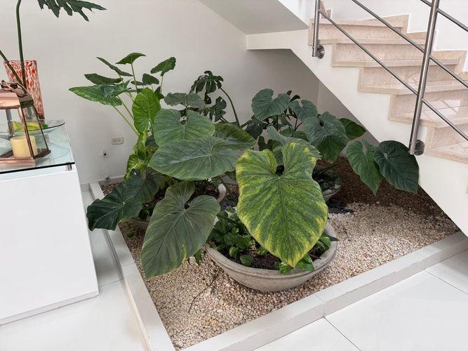 Casa de 4 alcobas en venta en Pance, Cali, 1050 m² · foto 10 de 12