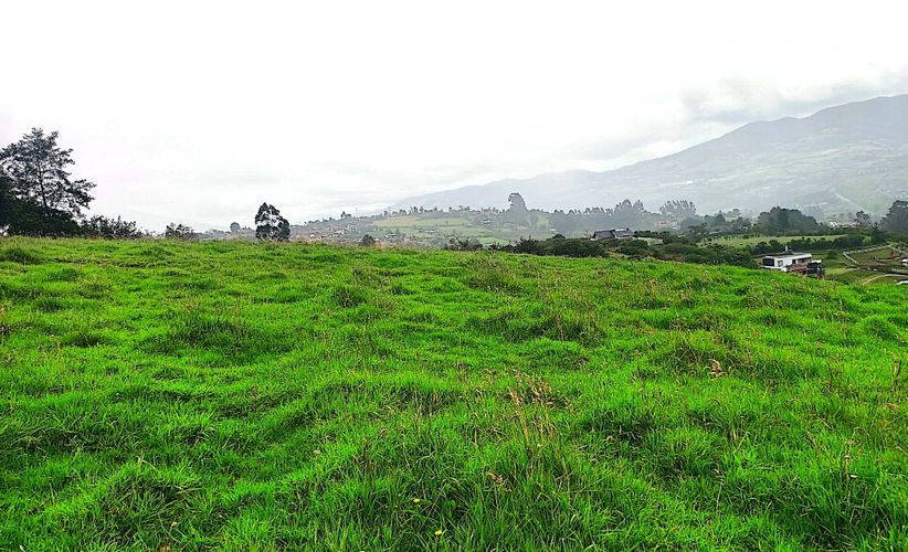 Lote en venta en Mocondino, Pasto, 8752 m² · foto 3 de 8