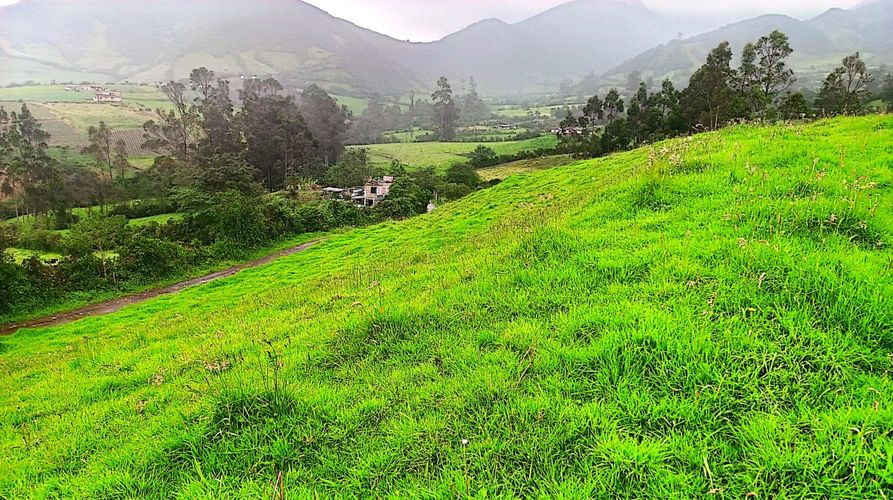 Lote en venta en Mocondino, Pasto, 8752 m² · foto 6 de 8