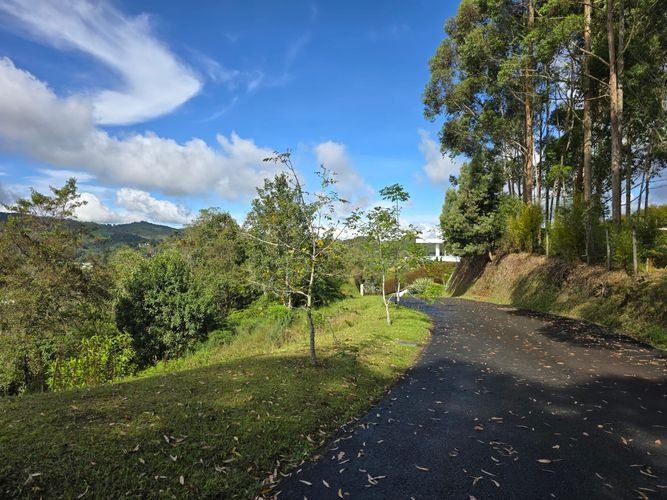 Lote en venta en Loma Del Escobero, El Retiro, 10000 m² · foto 2 de 12