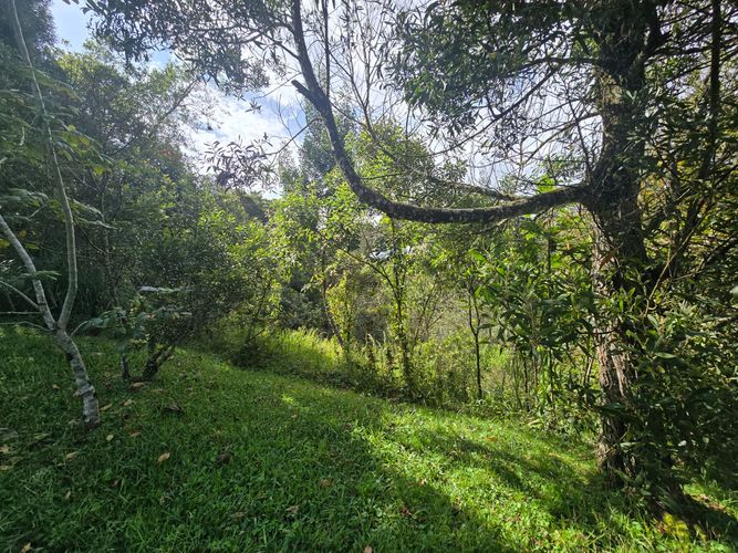 Lote en venta en Loma Del Escobero, El Retiro, 10000 m² · foto 3 de 12
