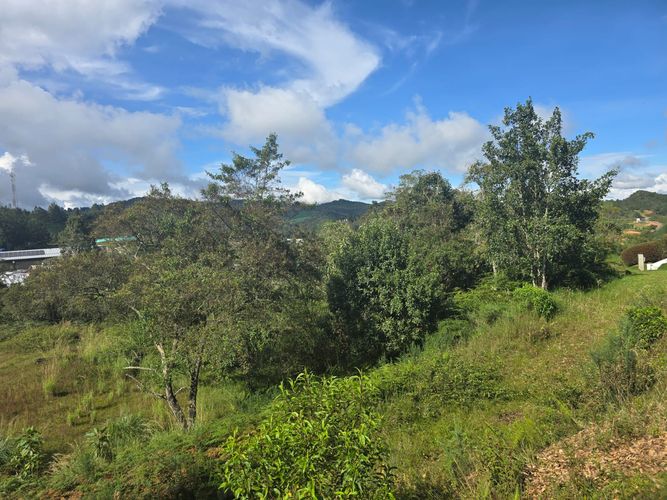 Lote en venta en Loma Del Escobero, El Retiro, 10000 m² · foto 6 de 12