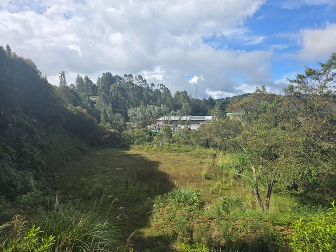 Lote en venta en Loma Del Escobero, El Retiro, 10000 m² · foto 7 de 12