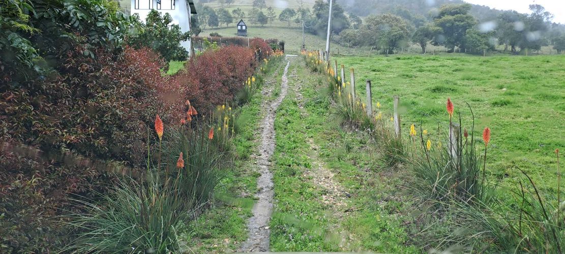 Finca en venta en Santa Helena, La Calera, 20098 m² · foto 7 de 15