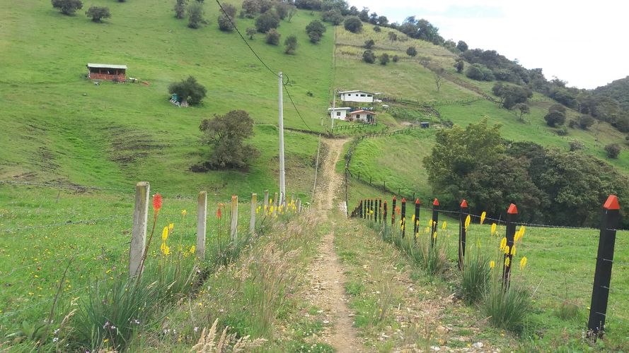 Finca en venta en Santa Helena, La Calera, 20098 m² · foto 8 de 15