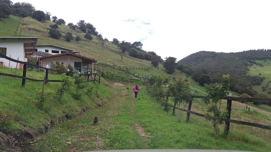 Finca en venta en Santa Helena, La Calera, 20098 m² · foto 9 de 15