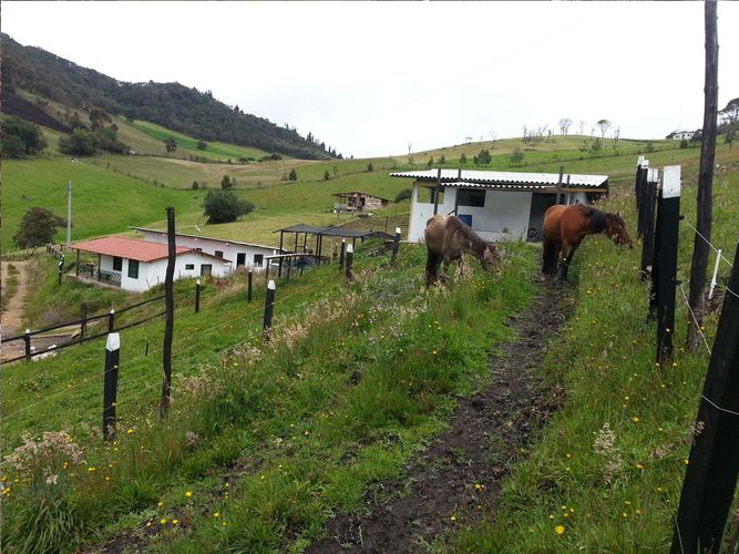 Finca en venta en Santa Helena, La Calera, 20098 m² · foto 11 de 15