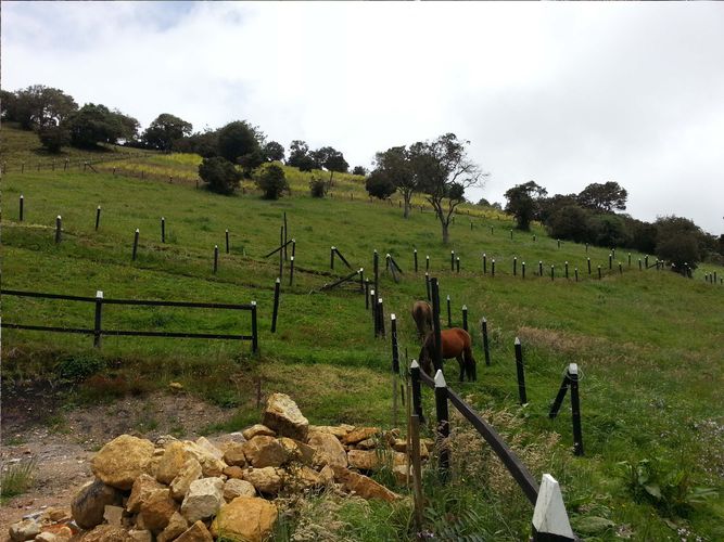 Finca en venta en Santa Helena, La Calera, 20098 m² · foto 12 de 15