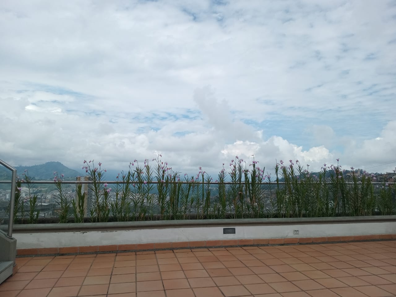Apartamento en venta en Ondas Del Otún, Manizales · foto 14 de 16
