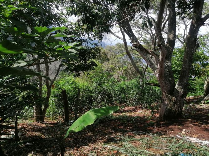 Finca en venta en Aldea Baja, Girón, 17 m² · foto 8 de 20