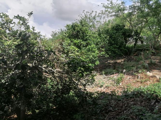 Finca en venta en Aldea Baja, Girón, 17 m² · foto 11 de 20