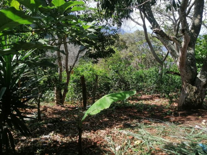 Finca en venta en Aldea Baja, Girón, 17 m² · foto 13 de 20