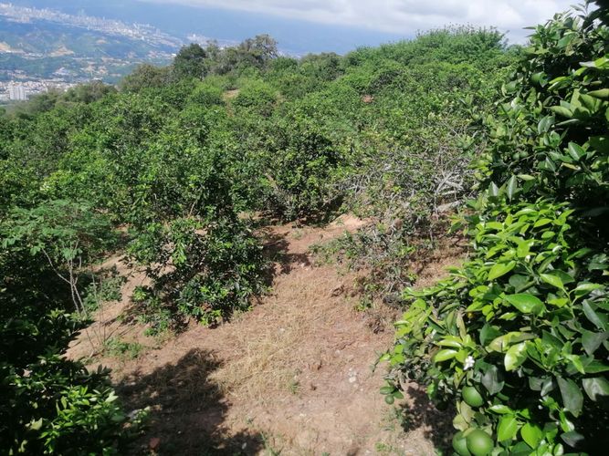 Finca en venta en Aldea Baja, Girón, 17 m² · foto 17 de 20