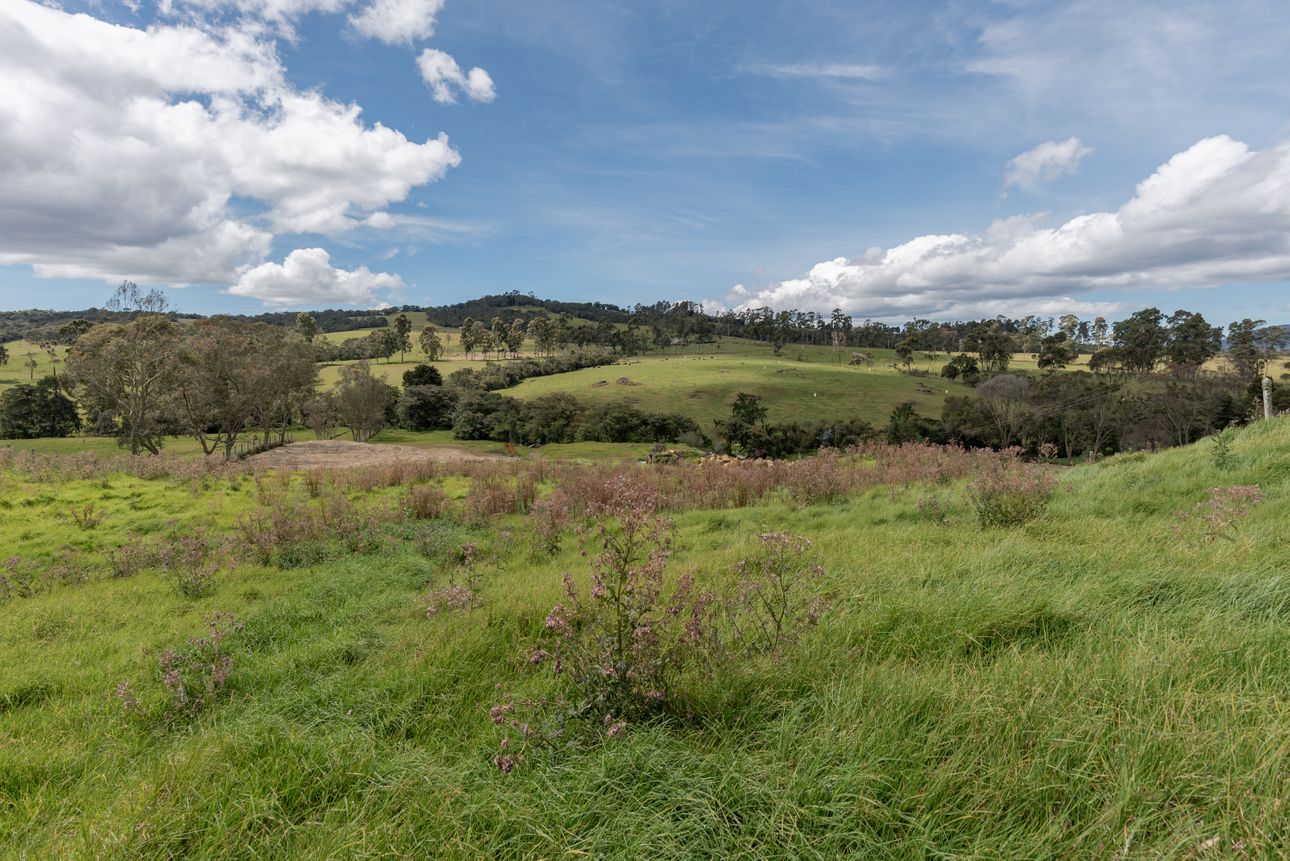 Lote en venta en Vía Las Palmas, Envigado