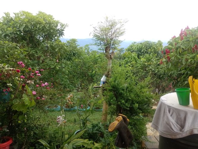 Lote en venta en Ruitoque Alto, Piedecuesta, 1200 m² · foto 17 de 21