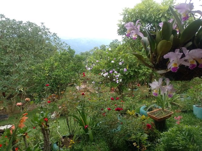 Lote en venta en Ruitoque Alto, Piedecuesta, 1200 m² · foto 18 de 21