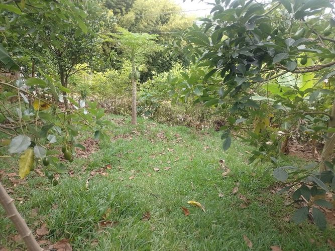 Lote en venta en Ruitoque Alto, Piedecuesta, 1200 m² · foto 20 de 21