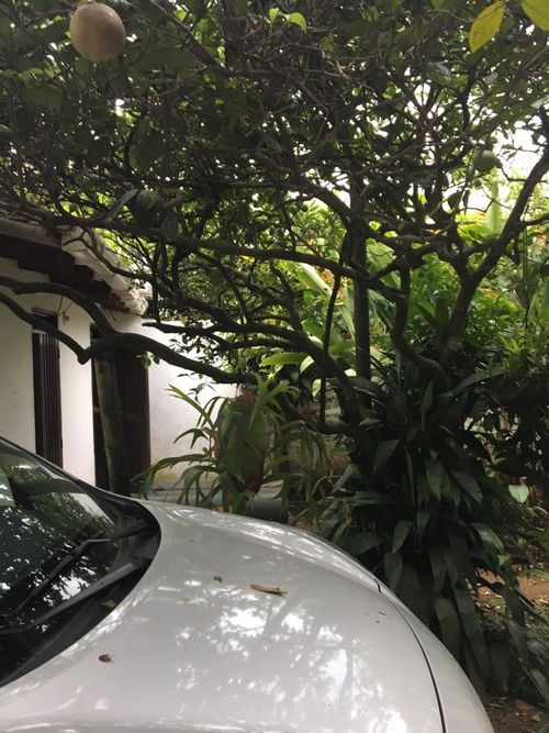 Casa de 4 alcobas en venta en Pance, Cali, 230 m² · foto 9 de 17