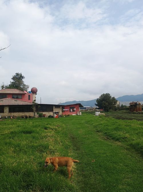 Lote en venta en Siberia, Cota, 661 m² · foto 2 de 19