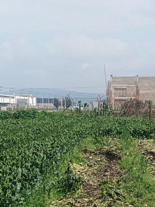 Lote en venta en Siberia, Cota, 661 m² · foto 7 de 19