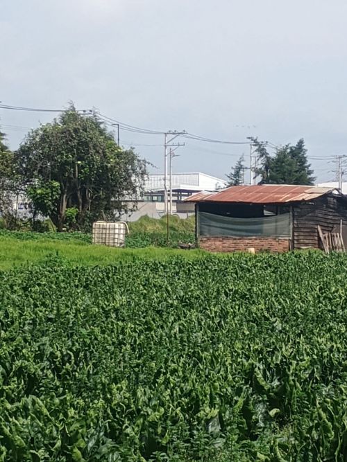 Lote en venta en Siberia, Cota, 661 m² · foto 11 de 19