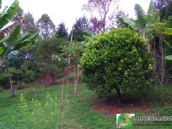 Casa de 3 alcobas en venta en El Salado, Guarne · foto 5 de 24
