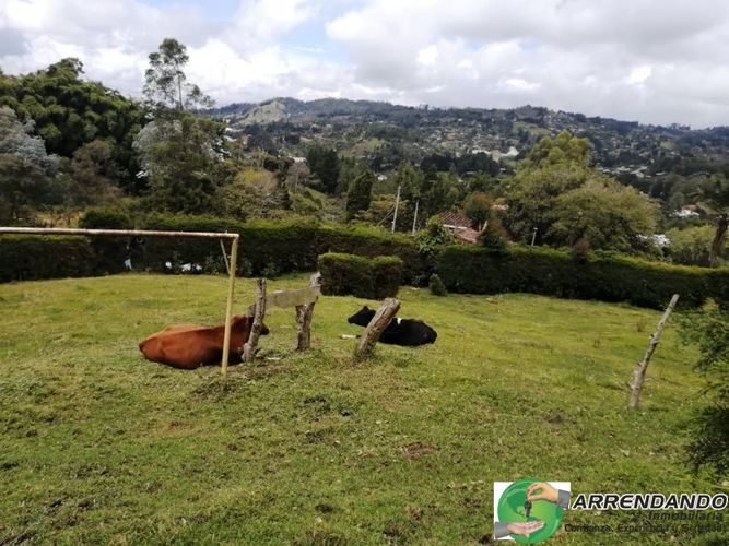 Casa de 3 alcobas en venta en El Salado, Guarne · foto 19 de 24