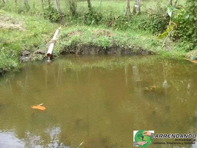 Casa de 3 alcobas en venta en El Salado, Guarne · foto 24 de 24