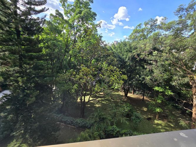 Apartamento de 4 alcobas en venta en Los Balsos, Medellín, 234 m² · foto 7 de 14